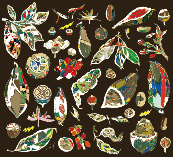 USHIO CHOCOLATL - Coffee Blend / コーヒーブレンド